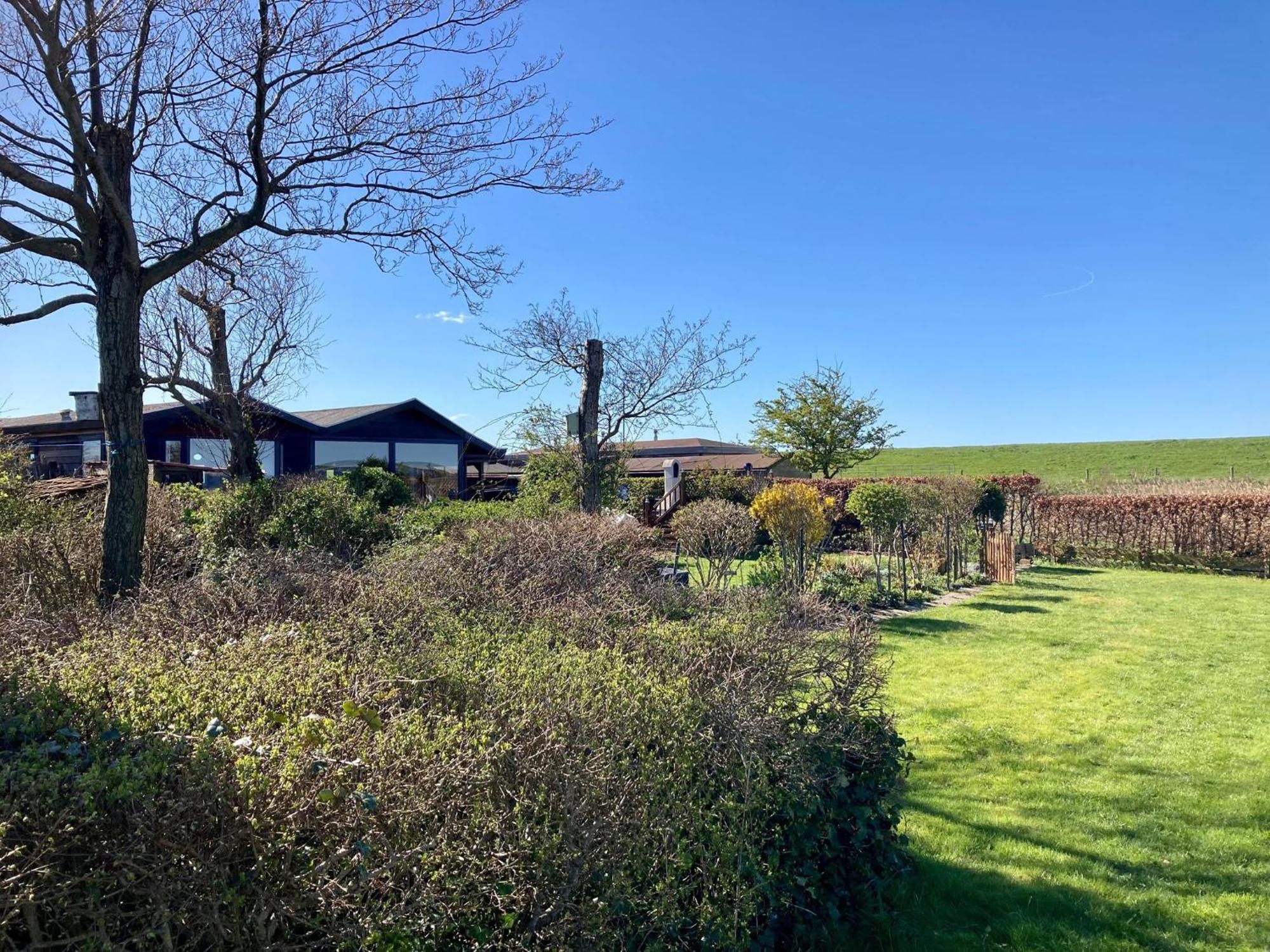 House Marijke With Winter Garden And Direct Access To The Lauwersmeer Anjum Kültér fotó
