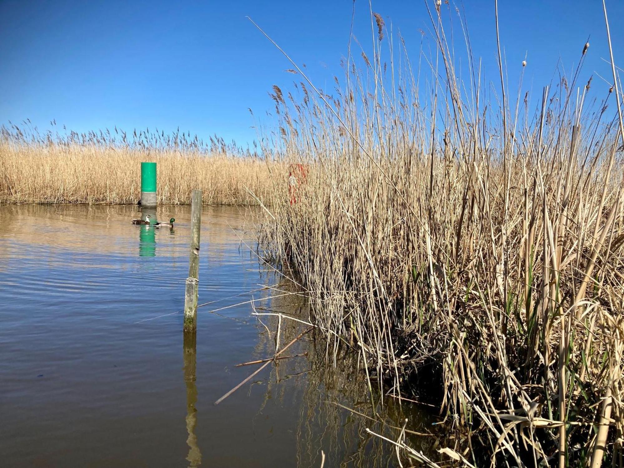 House Marijke With Winter Garden And Direct Access To The Lauwersmeer Anjum Kültér fotó