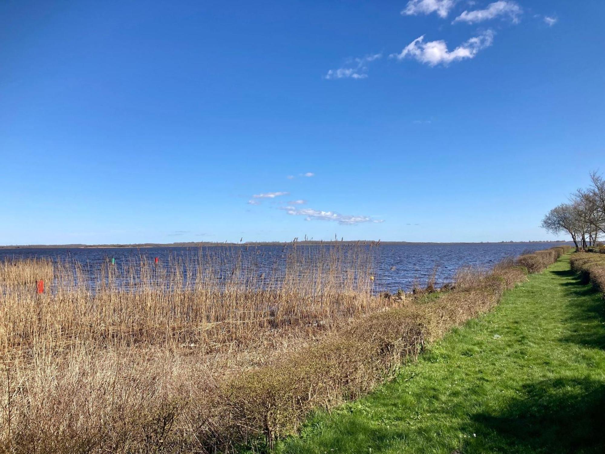 House Marijke With Winter Garden And Direct Access To The Lauwersmeer Anjum Kültér fotó